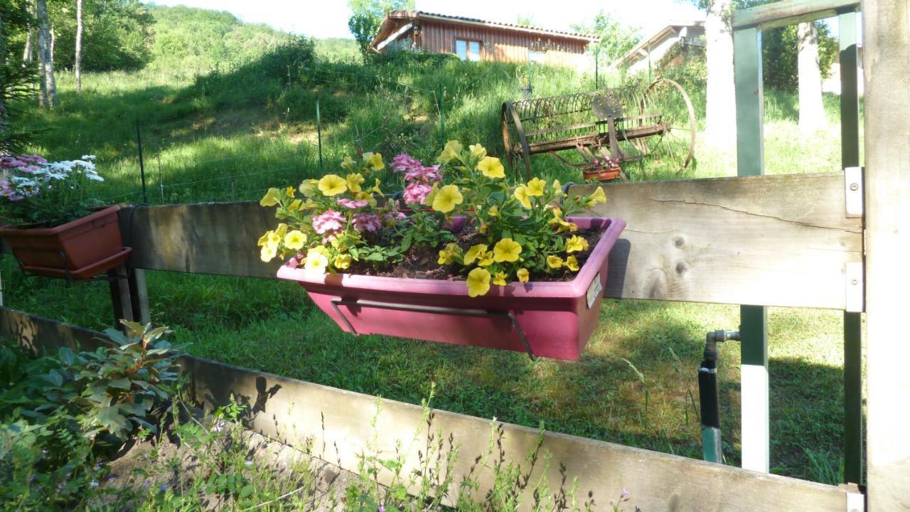 Gite La Lanterne Transition Ecologique Avec Borne De Recharge 7Kw Site Sous Video Protection Nalzen ภายนอก รูปภาพ